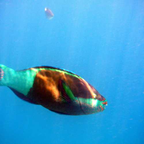 island Rannalhi, Мальдивские о-ва