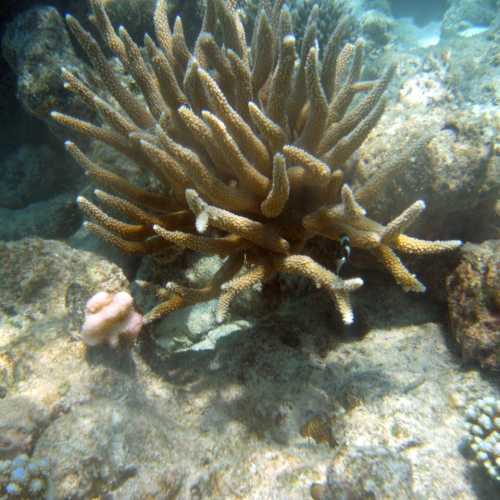 island Rannalhi, Мальдивские о-ва