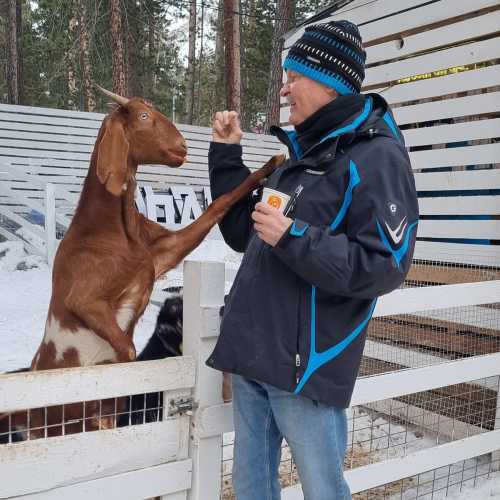 парк альпак 