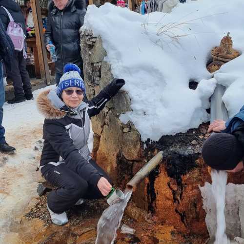 Поляна нарзанов, Russia