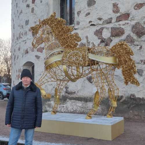 Выборг, Россия