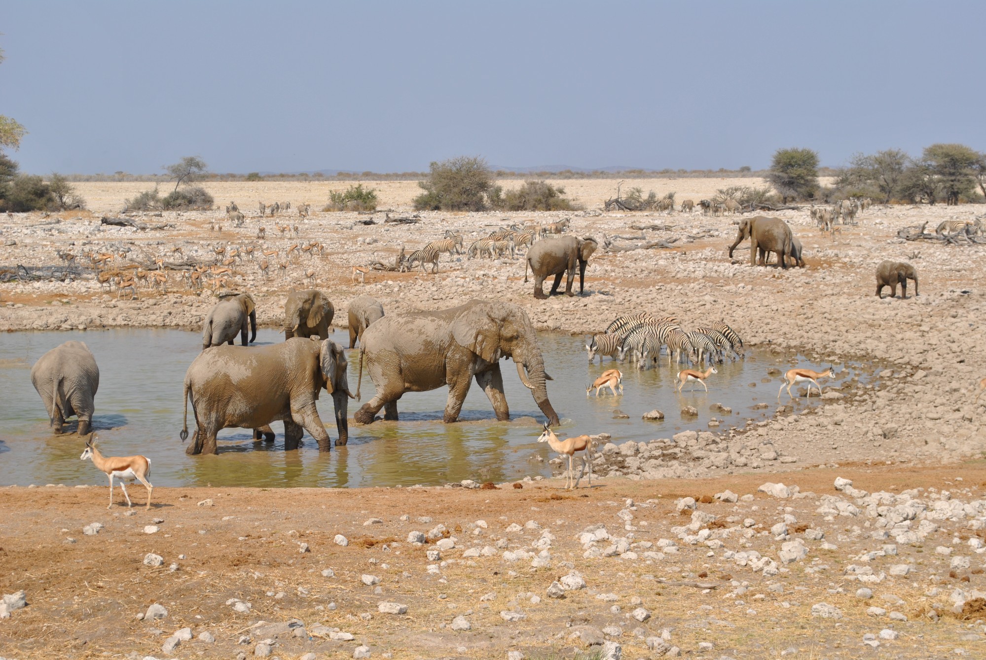 Namibia