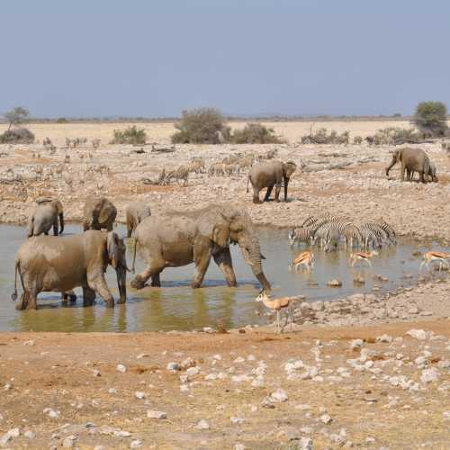 Namibia