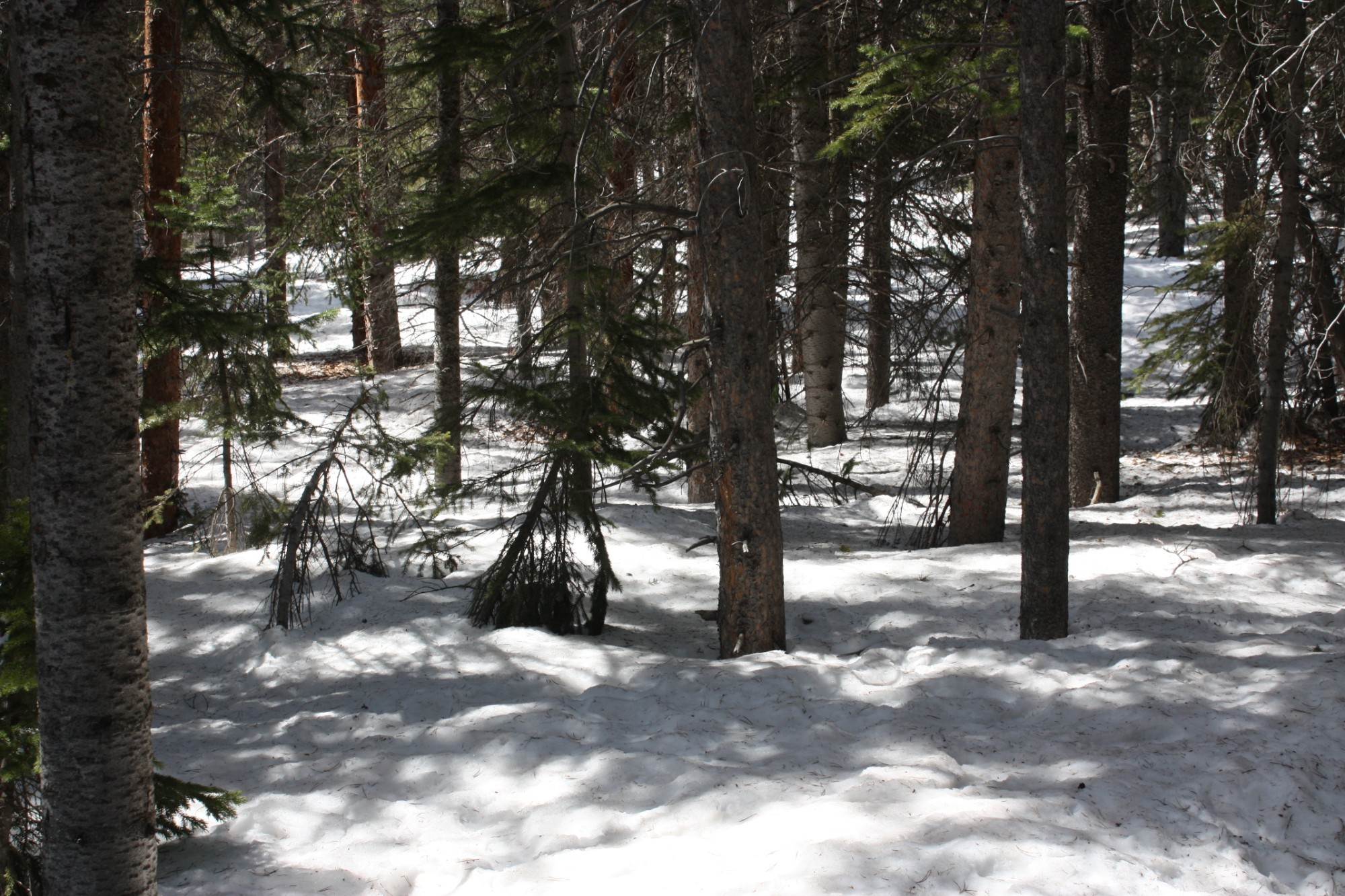 Rocky Mountain National Park, United States