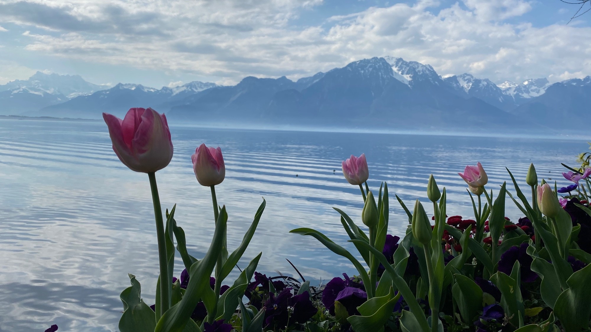Start of Spring in Montreux 