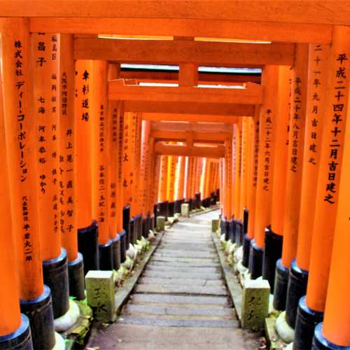 1000 Torii gates, Japan