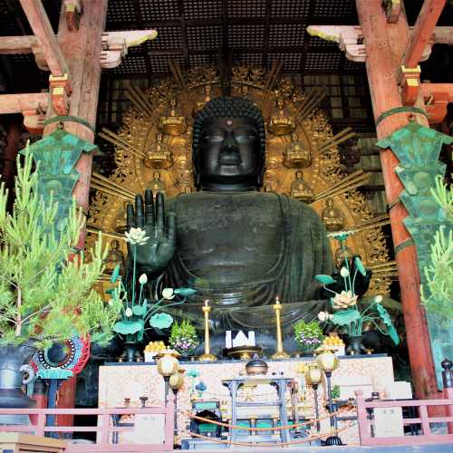 Todaiji Temple, Japan