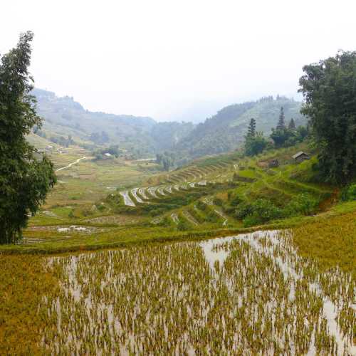 Rice terraces & valley, Vietnam