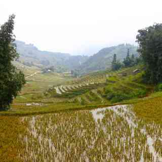 Rice terraces & valley