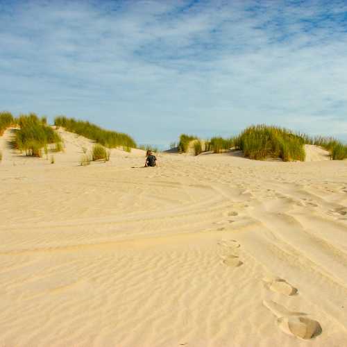 Henty dunes