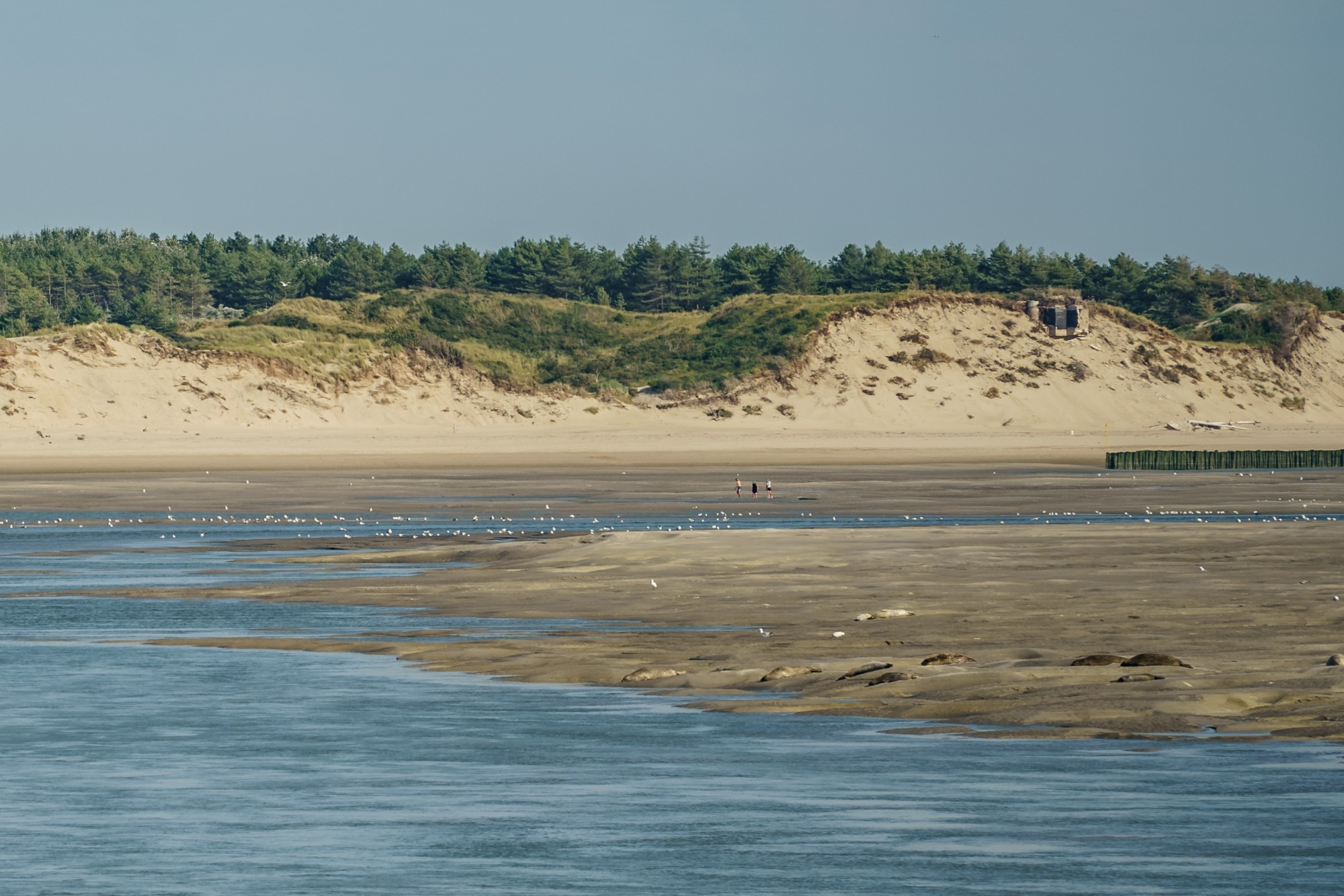 Plage de Berck, Франция