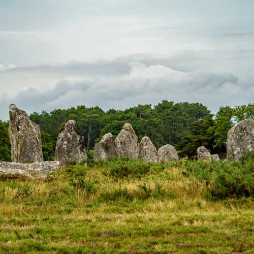 Carnac stones