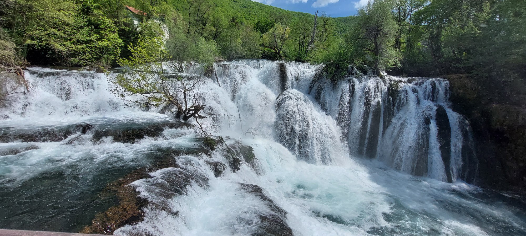 Bosnia and Herzegovina