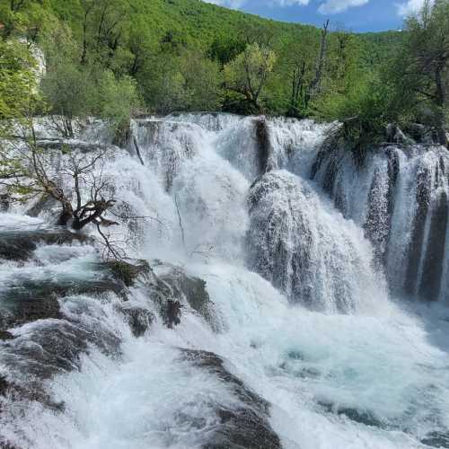 Bosnia and Herzegovina