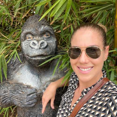 Gorilla Statue photo