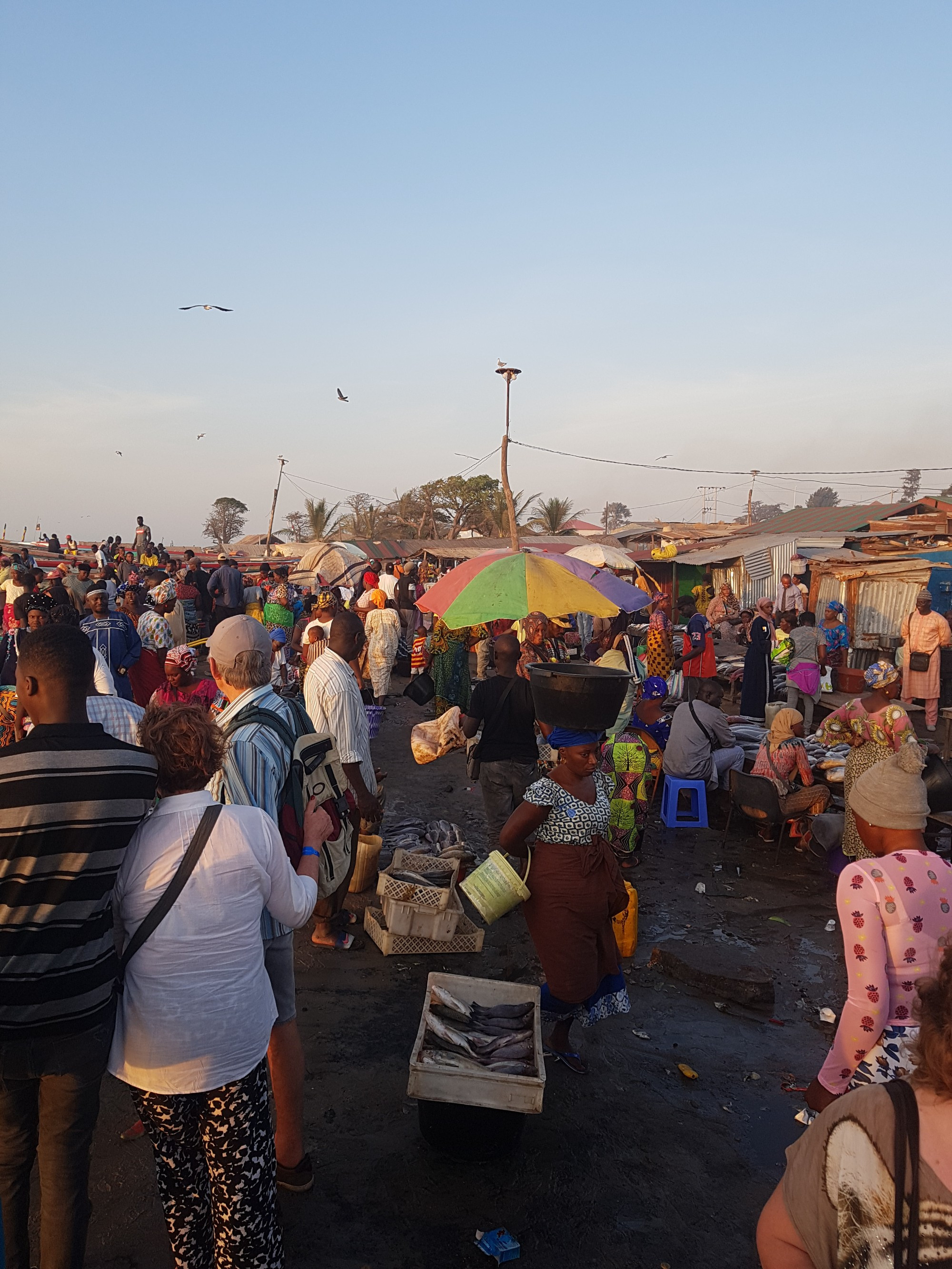 Gambia