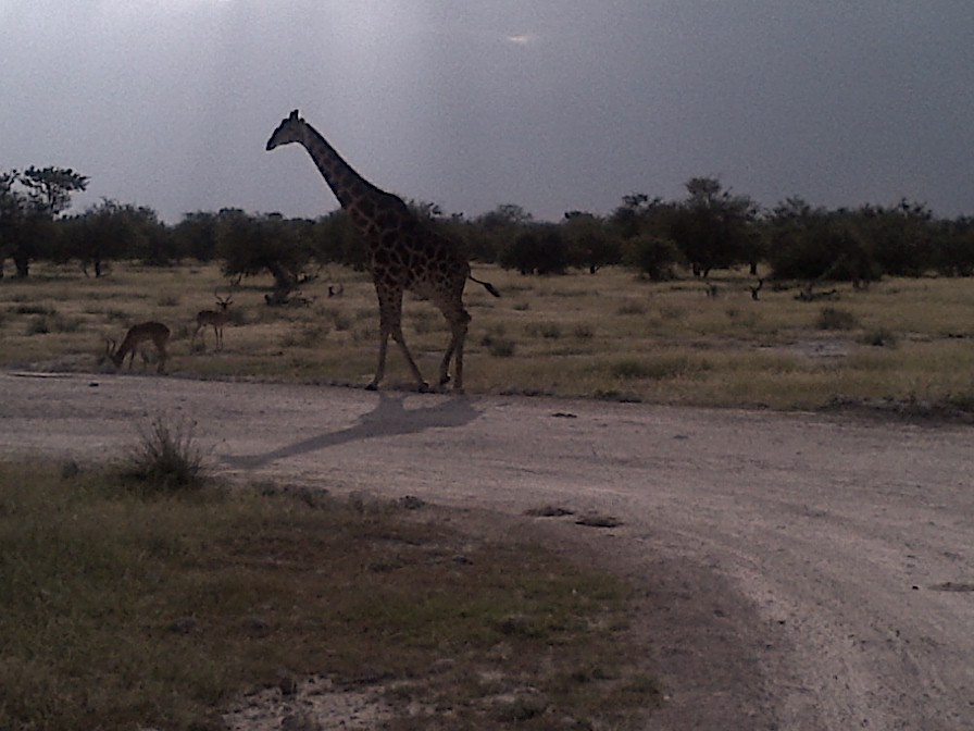 Namibia