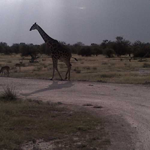 Namibia