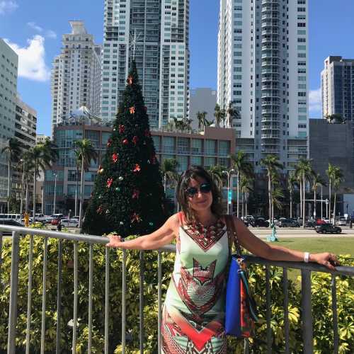Miami at Christmas time