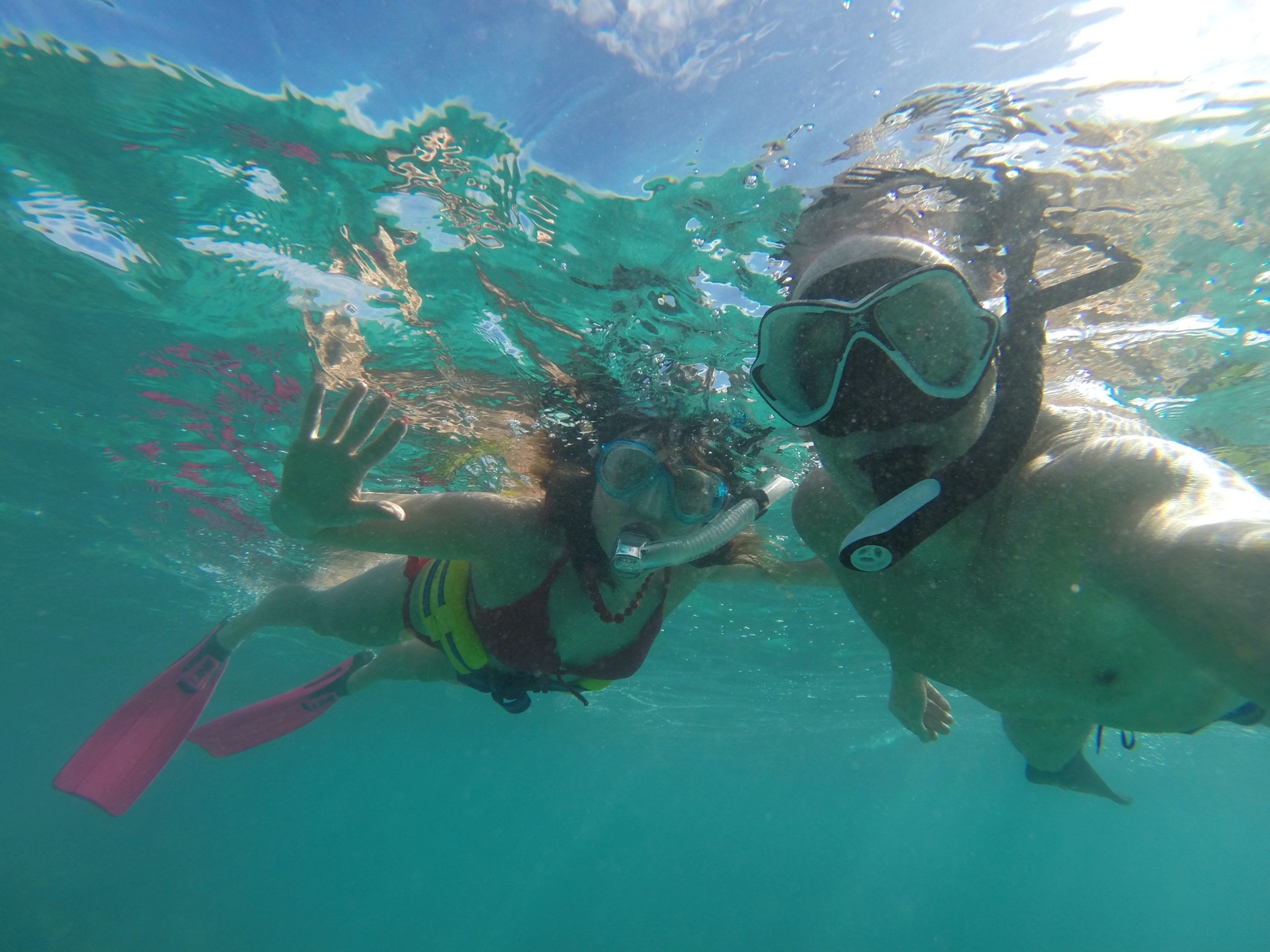 Paradise Reef, Antigua and Barbuda