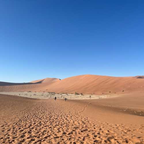 Sossusvlei 