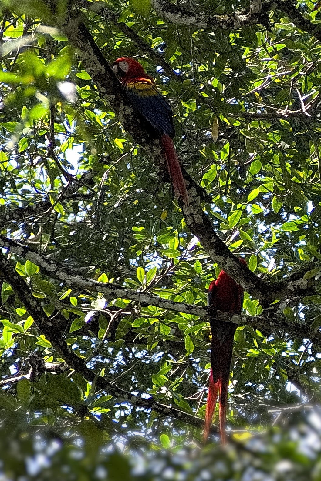 Costa Rica