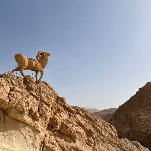 Таузар, Тунис