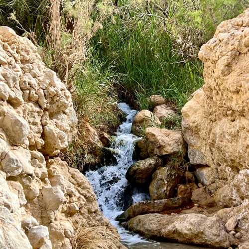 Таузар, Тунис