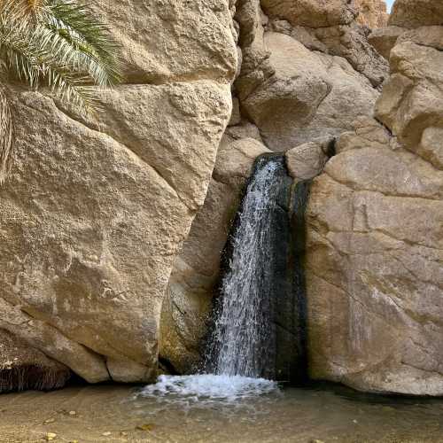 Таузар, Тунис