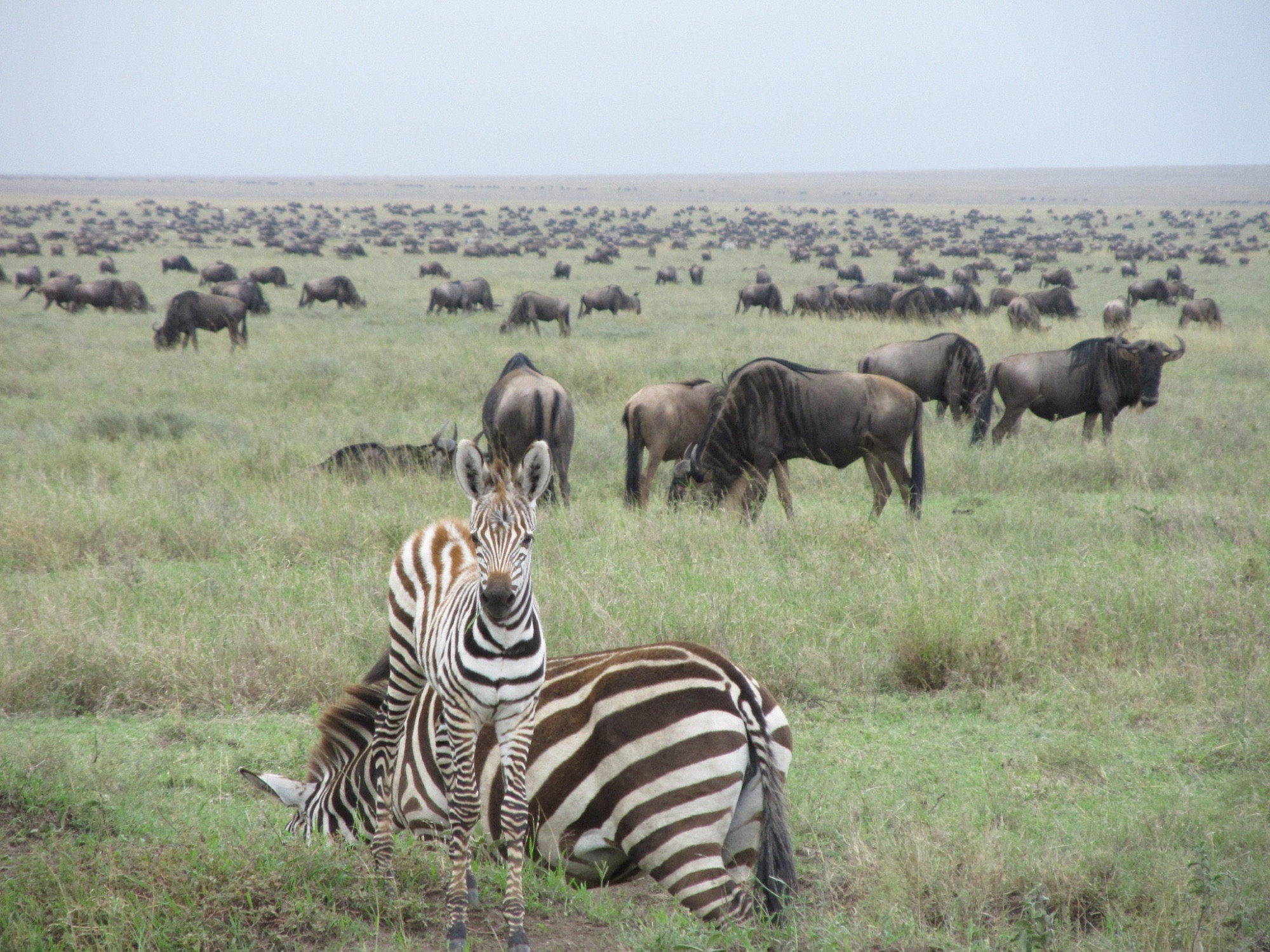 Tanzania