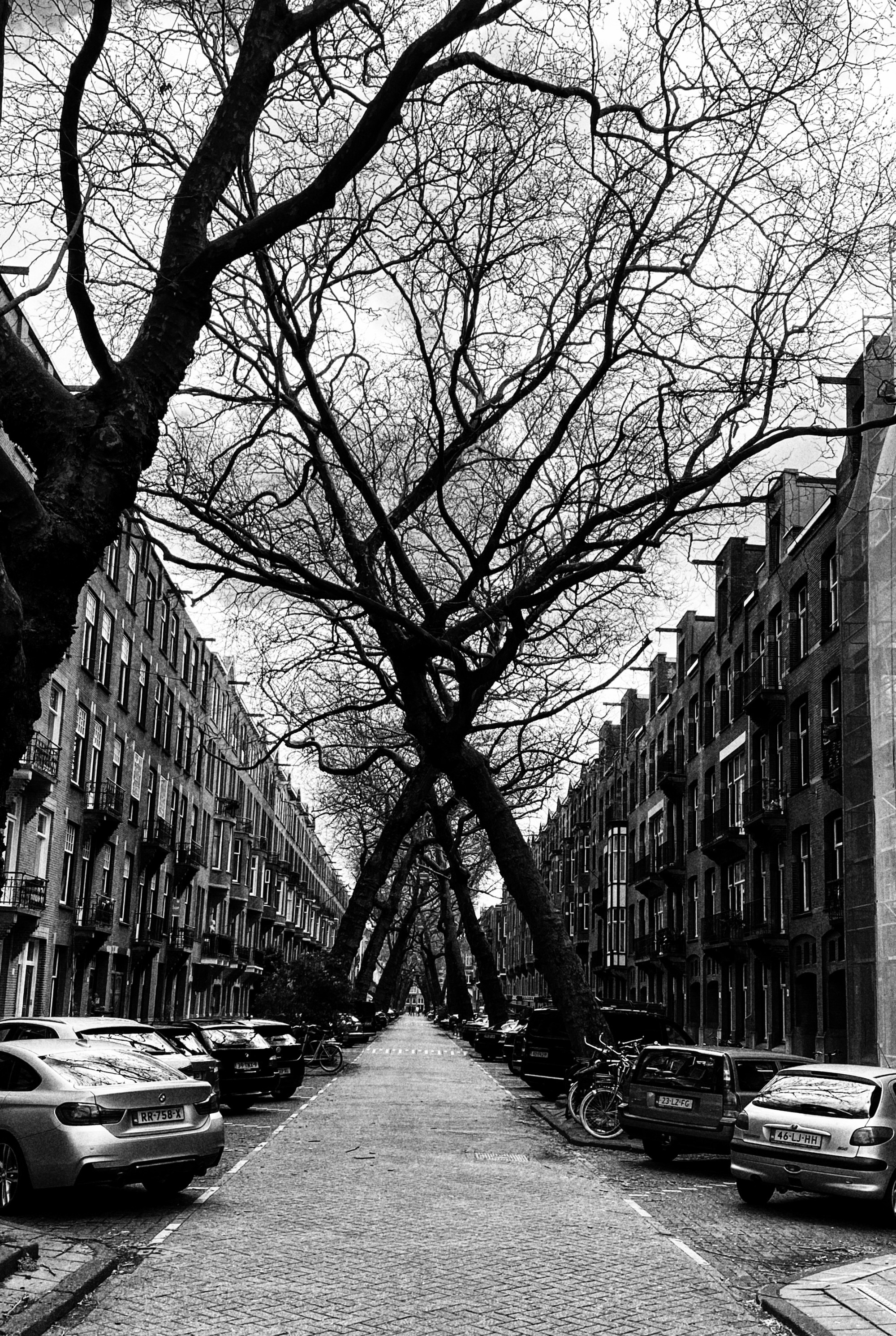 Local street near Vondel Park