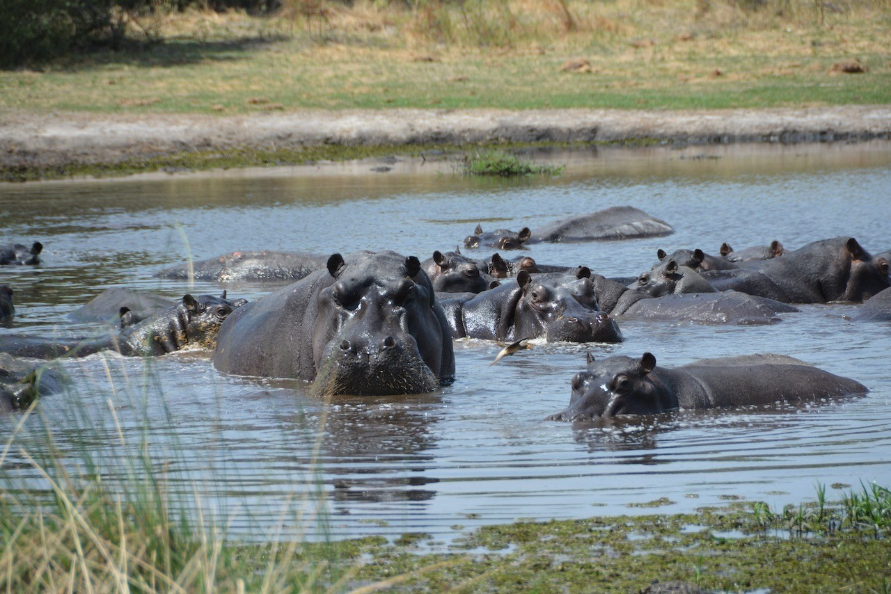 Botswana