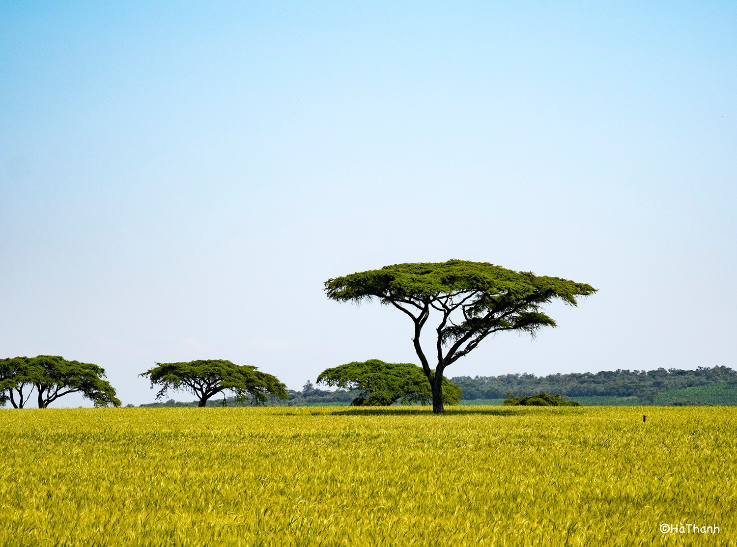 Kenya