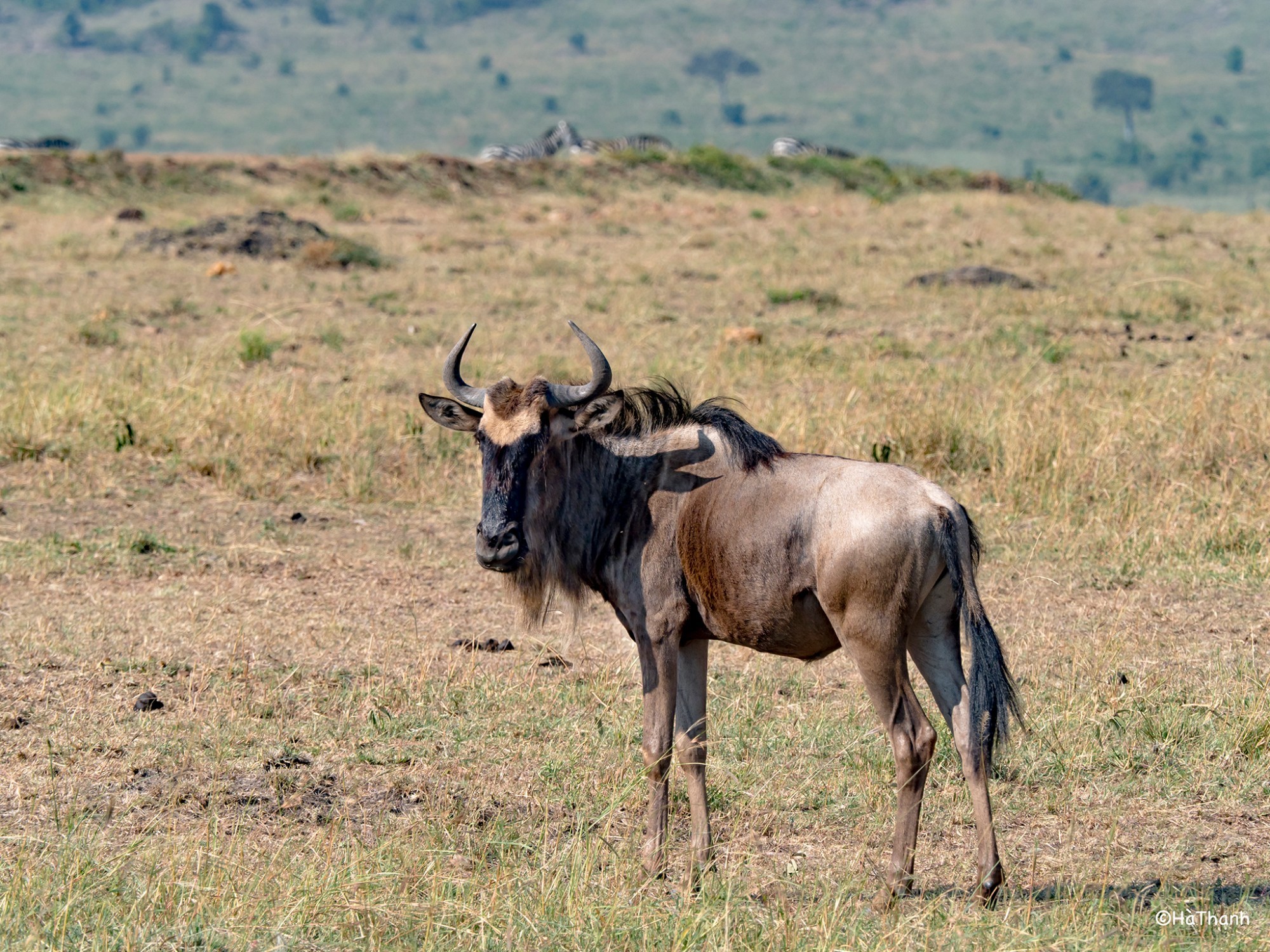 Kenya