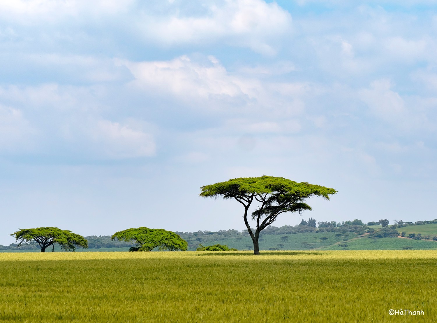 Kenya