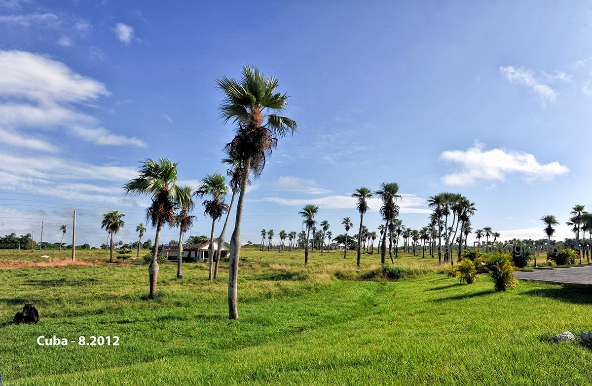 Cuba