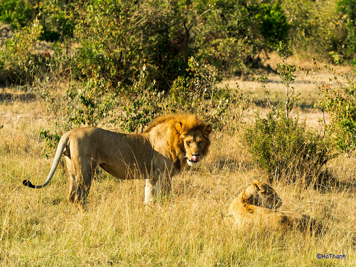 Kenya