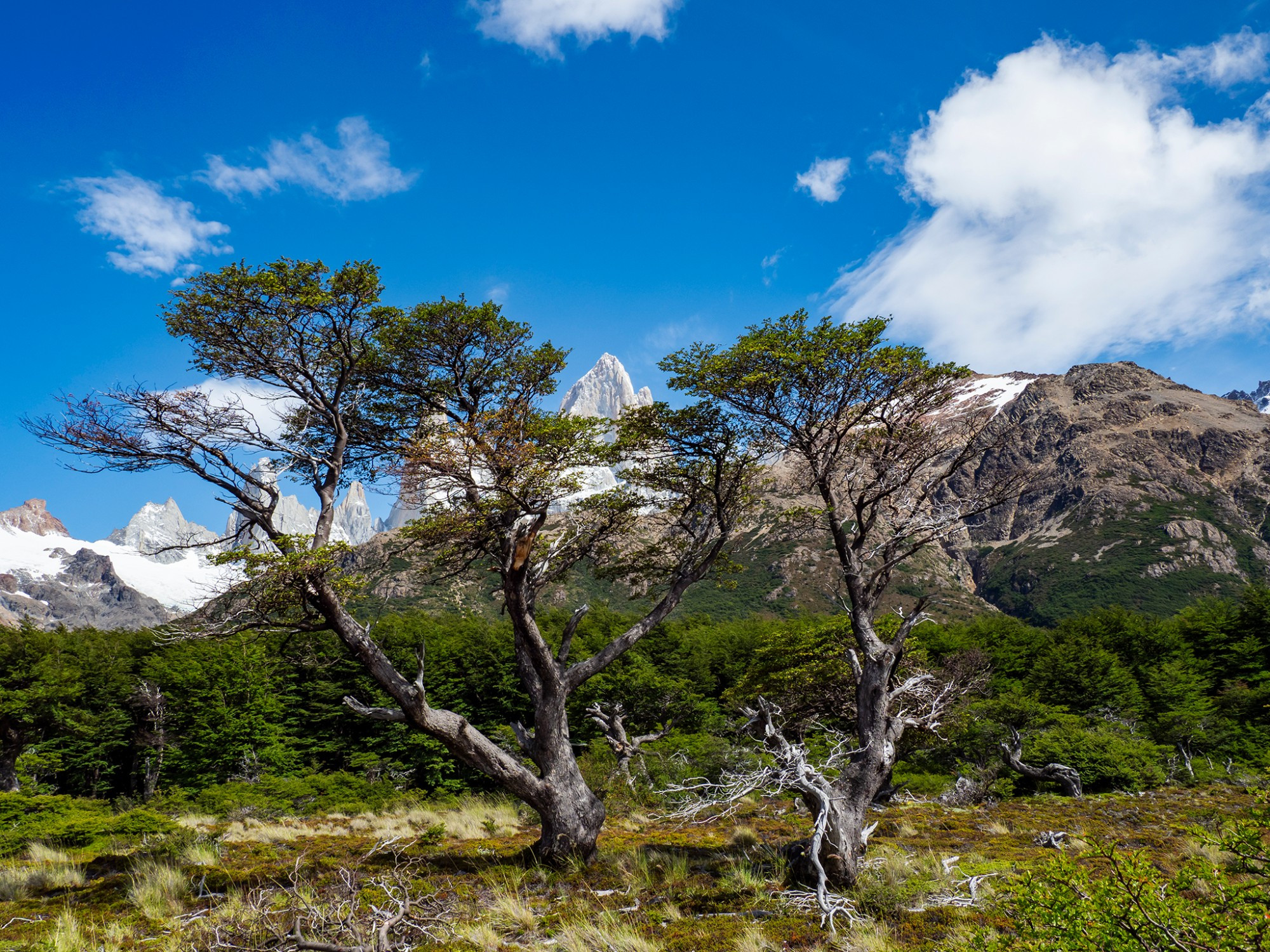 Argentina