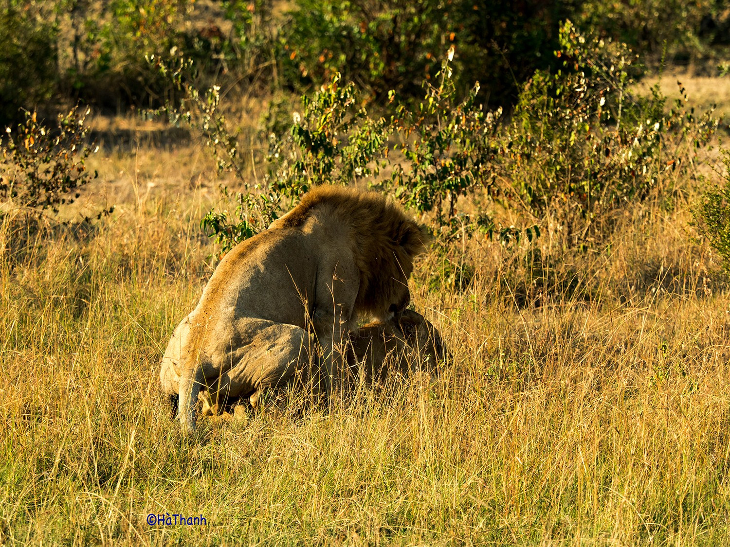 Kenya