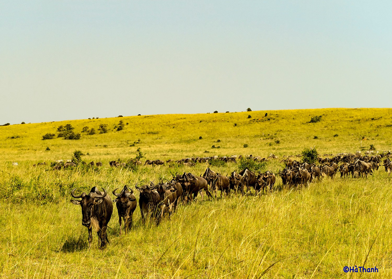 Kenya