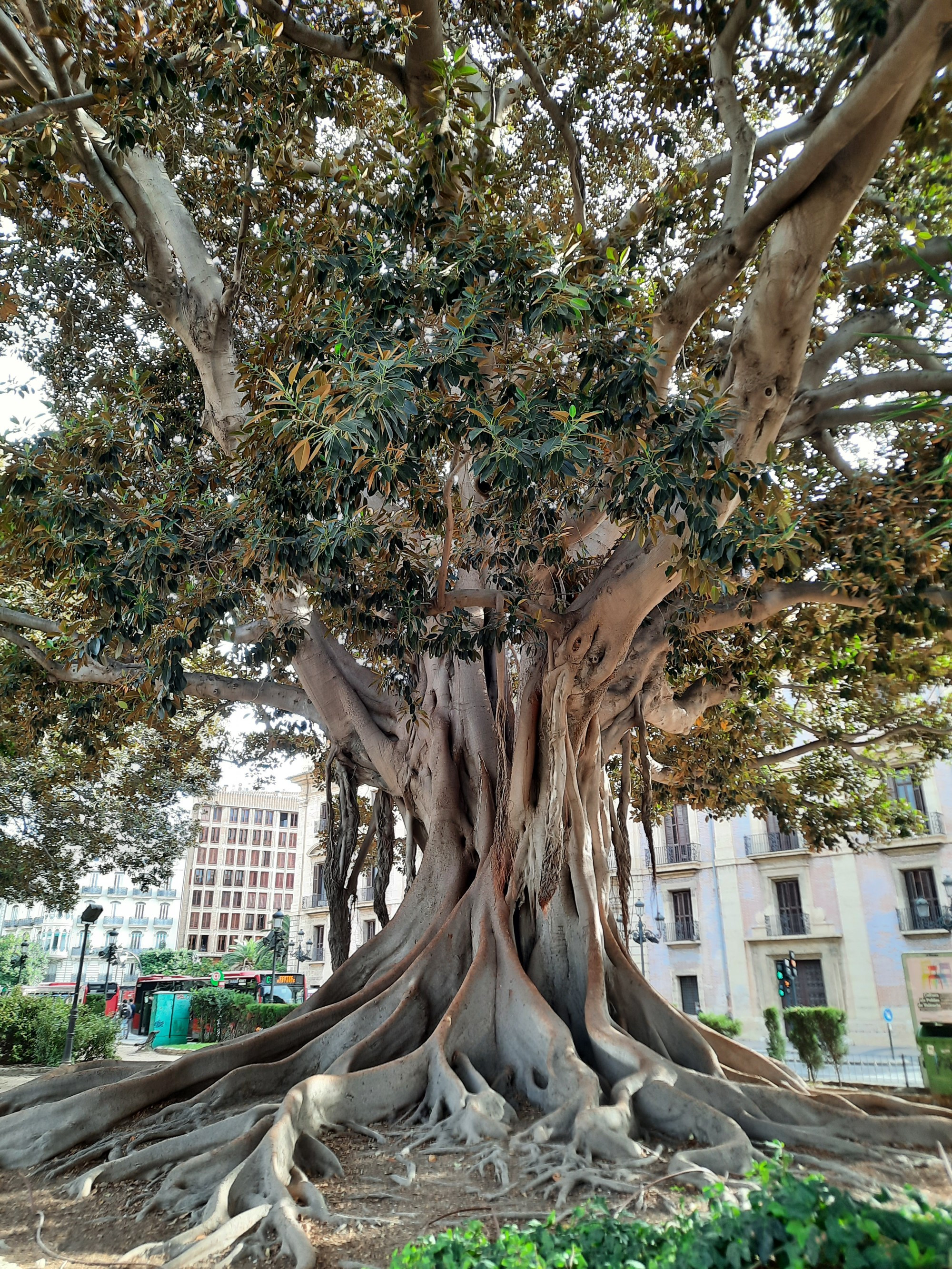 Valencia, Spain