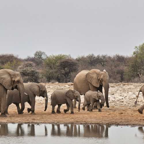 Namibia