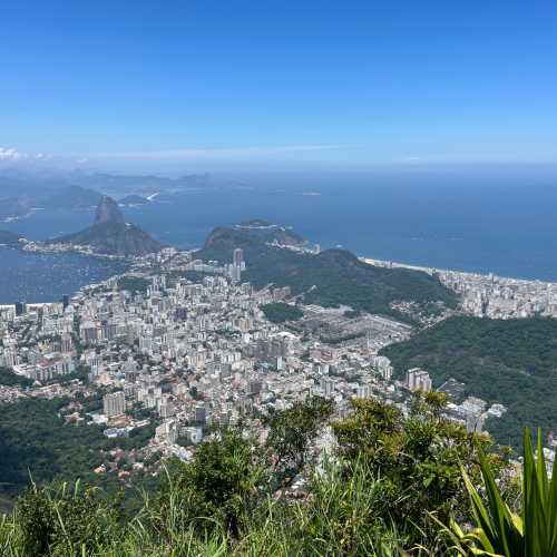 View from Corcovado on Botafoge, yhe Sugar Loaf and Copacabana