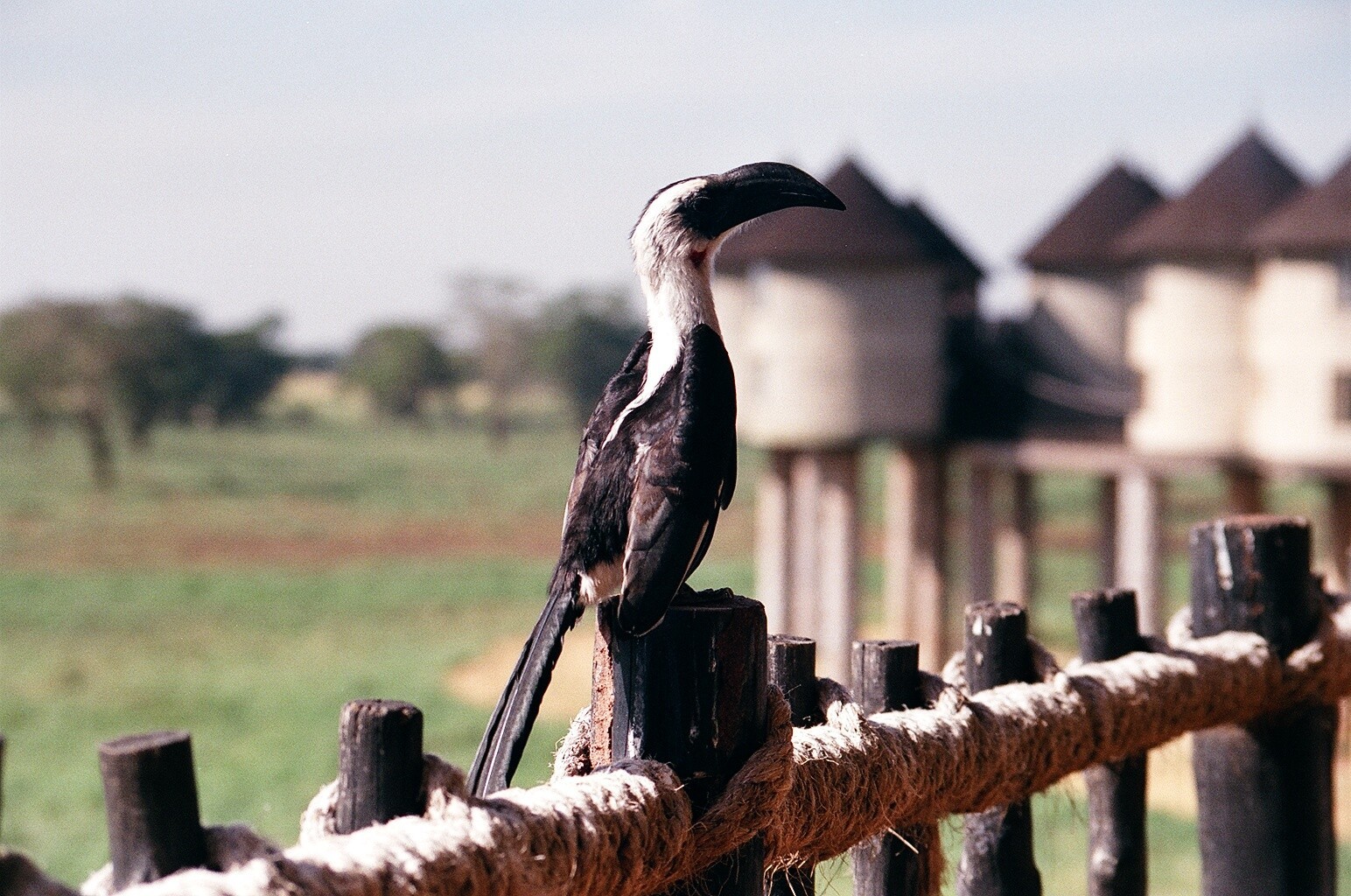 Kenya