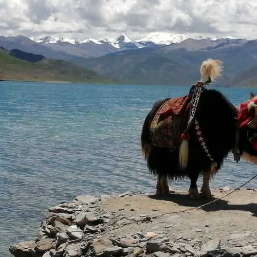 Nagarzè, China