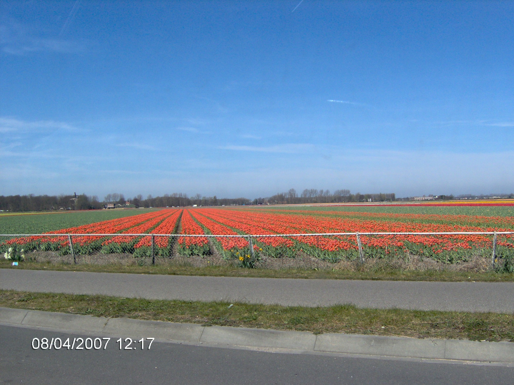 Netherlands