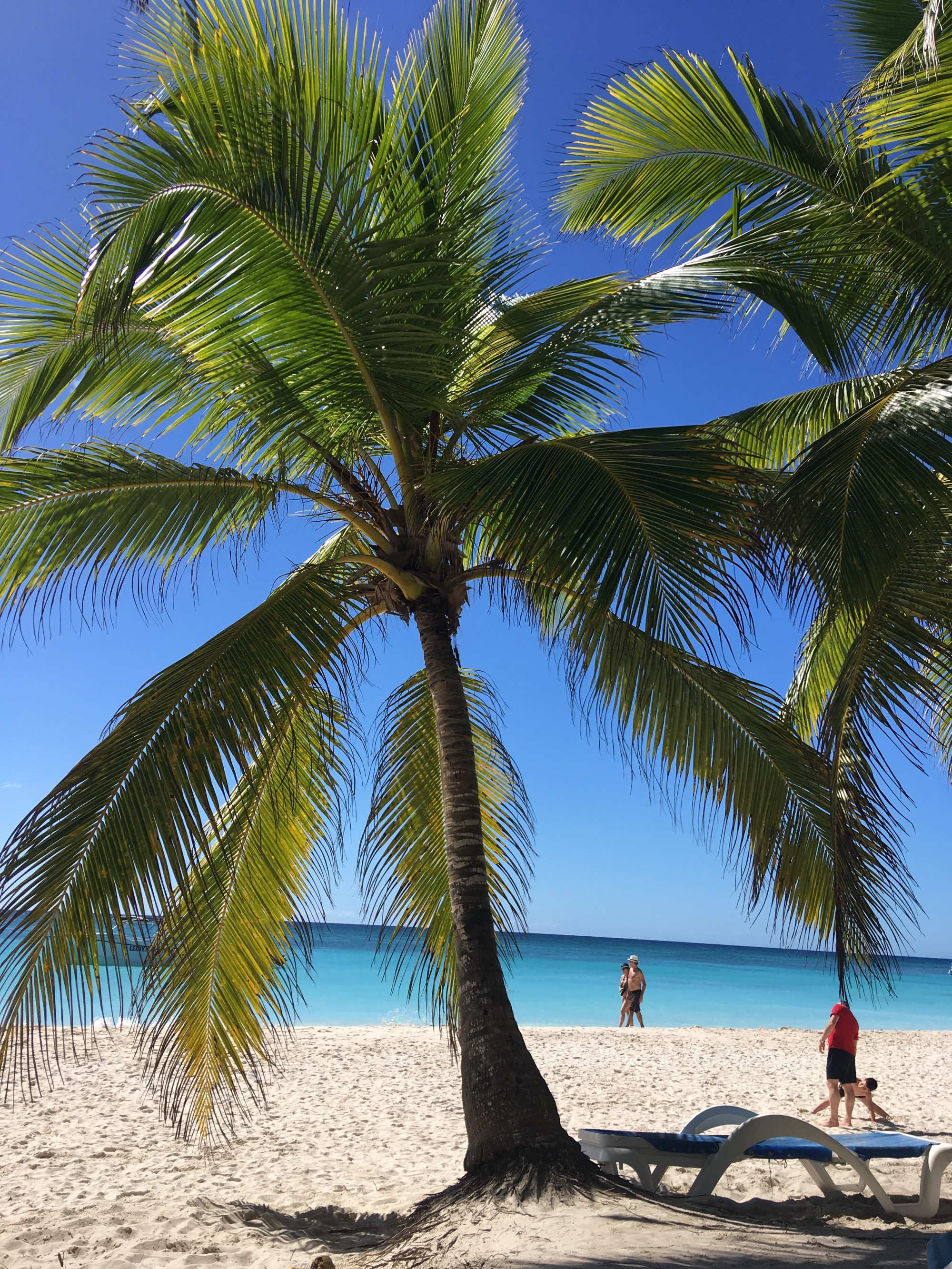 Saona Island