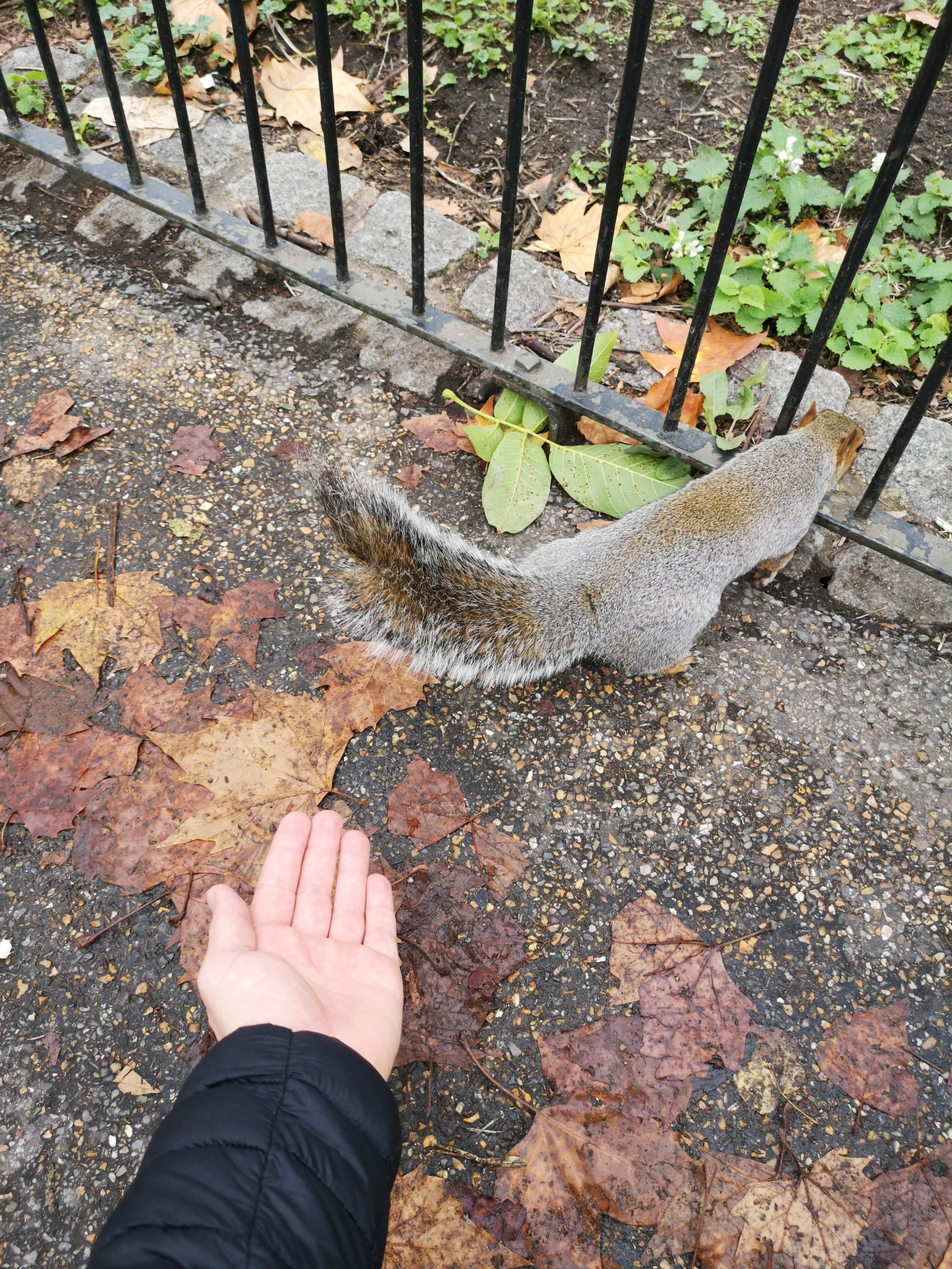 London, United Kingdom