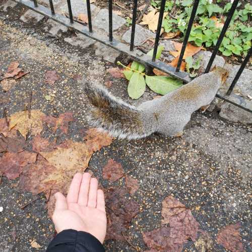 London, United Kingdom