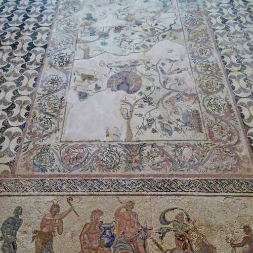 Mosaic in the house of Dionysus
